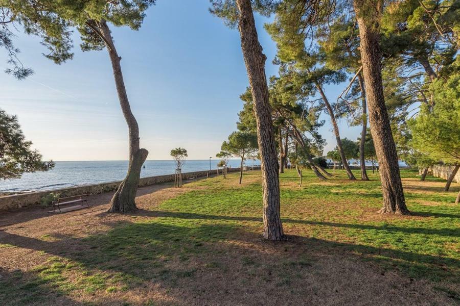 Apartment Hannah Novigrad  Luaran gambar